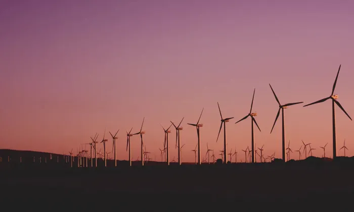 Other Renewable Energy Generation