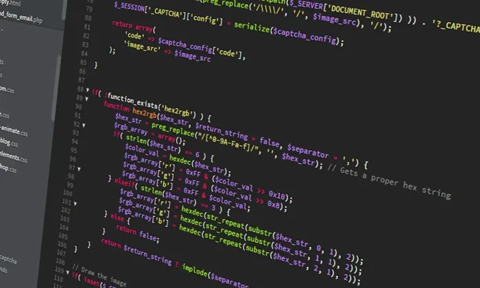 Data Service Providers