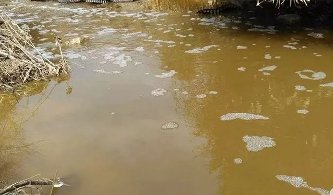 Green And Environmentally Friendly